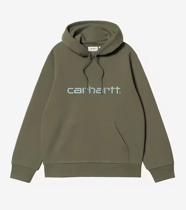 Carhartt Wip Hooded Sweater -Leaf/Tourmaline 1