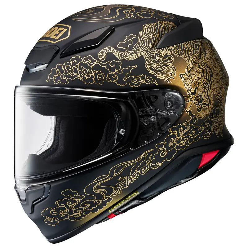 Shoei Rf-1400 Fearless Helmet 1