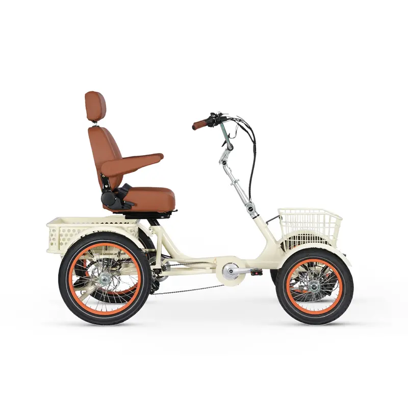 Simple Glide Four-Wheel 750W Electric Bike