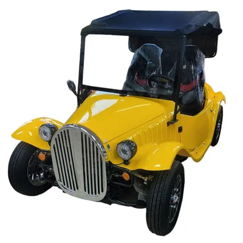 Vintage Car Electric-3000W 1